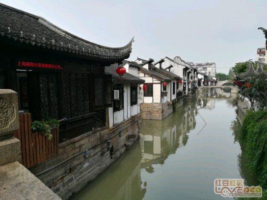 探探猫之飞刀大师